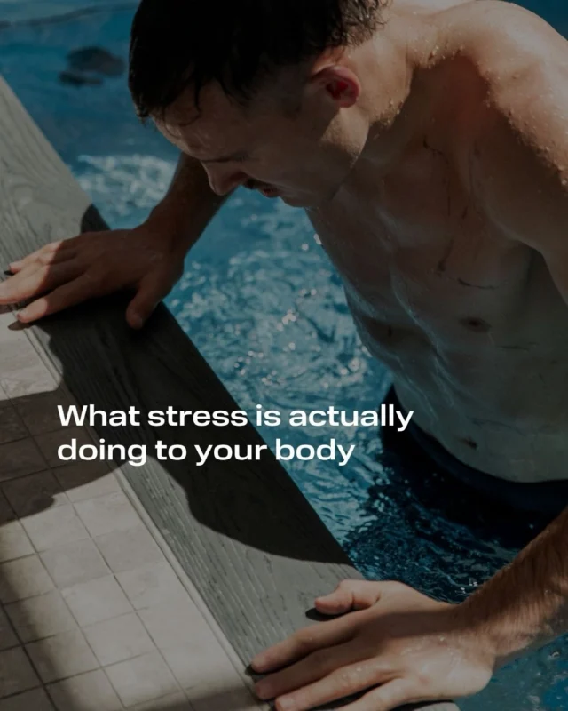 You can’t heal in survival mode.

Calm your system → restore your energy → support your recovery.

#P3Recovery #RecoveryCentre #TrainRecoverRepeat #StressRelief #SydneyRecovery