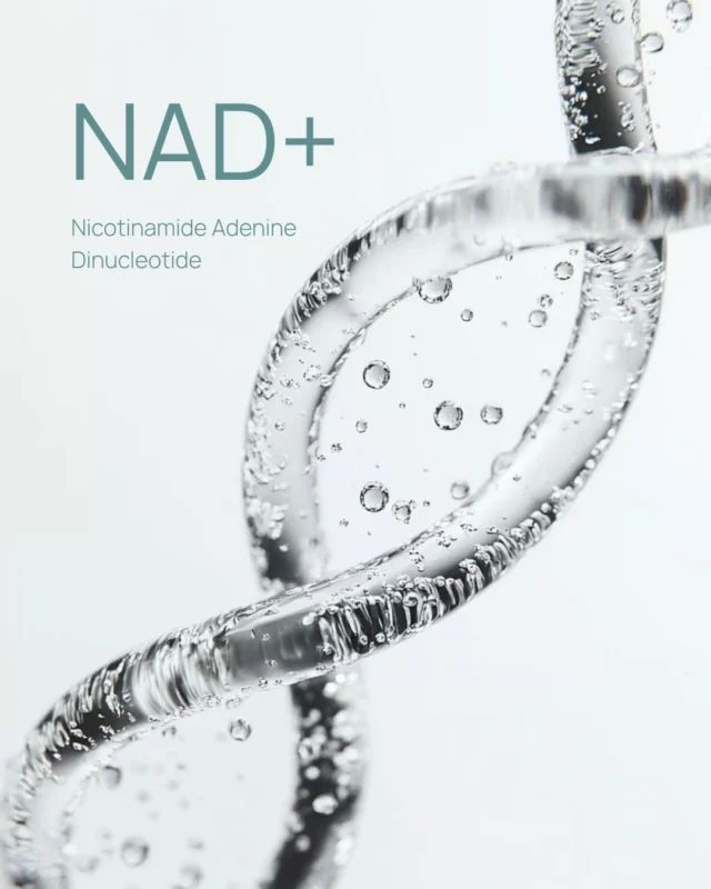 👩‍🏫EDUCATIONAL POST👩‍🏫

Your guide to NAD+ 

Want to know more? Follow the link in our bio 

Disclaimer: The content is educational only and does not replace personalised medical advice from a qualified healthcare professional